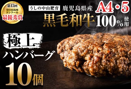 ＜A4・A5等級＞鹿児島県産 黒毛和牛100%使用極上ハンバーグ( 計1.5kg/150g×10個) 黒毛和牛 和牛 ハンバーグ 冷凍ハンバーグ 肉 牛肉 国産 九州産 鹿児島県産 ミンチ 100% 小分け A4 A5 日本一 ランキング 人気 a5-308