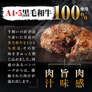 ＜A4・A5等級＞鹿児島県産 黒毛和牛100%使用極上ハンバーグ( 計1.5kg/150g×10個) 黒毛和牛 和牛 ハンバーグ 冷凍ハンバーグ 肉 牛肉 国産 九州産 鹿児島県産 ミンチ 100% 小分け A4 A5 日本一 ランキング 人気 a5-308