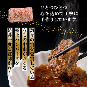 ＜A4・A5等級＞鹿児島県産 黒毛和牛100%使用極上ハンバーグ( 計1.5kg/150g×10個) 黒毛和牛 和牛 ハンバーグ 冷凍ハンバーグ 肉 牛肉 国産 九州産 鹿児島県産 ミンチ 100% 小分け A4 A5 日本一 ランキング 人気 a5-308