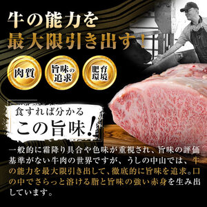 【数量限定】A4・A5等級うしの中山黒毛和牛ミスジステーキ(計300g・100g×3枚) 鹿児島県産 黒毛和牛 和牛 ミスジ ステーキ 肉 牛肉 国産 九州産 焼肉 BBQ 真空パック 小分け A5 A4 日本一 ランキング 人気 a8-076