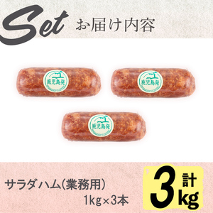 【業務用・訳あり】サラダハム(約1kg×3本・計3kg) ハム 国産 豚肉 塩漬 熟成 プレスハム 肉加工品 訳アリ 業務用 サラダ トッピング ハムカツ ハムステーキ ステーキ a5-310