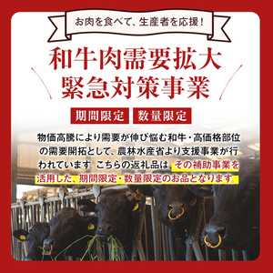 【2月末迄】【数量限定・緊急対策事業】最高級のA5等級！鹿児島県産黒毛和牛サーロインステーキ (スティック)(計500g/250g×2P) 牛肉 肉 牛 黒毛和牛 ステーキ サーロイン A5 国産 鹿児島県産 焼肉 期間限定 a8-075