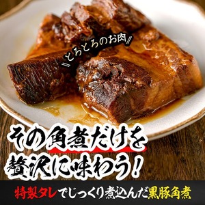 黒豚角煮極厚キューブ 計2kg(250g×8袋) 黒豚 肉 豚肉 国産 九州産 角煮 おつまみ 惣菜 おかず b0-189