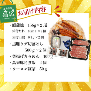 志布志市福袋！鰻とおかずいろいろセット(霧島湧水鰻2尾＆釜揚げちりめん＆黒豚ウデ切り落とし＆ウーロン紅茶＆角煮飯) ウナギ 蒲焼 2尾 バラエティ お楽しみ b8-041