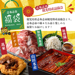 【定期便全３回】志布志市福袋！鰻とおかずいろいろセット(霧島湧水鰻2尾＆釜揚げちりめん＆黒豚ウデ切り落とし＆ウーロン紅茶＆角煮飯) ウナギ 蒲焼 2尾 鰻重 うな丼 黒豚 しらす ちりめんじゃこ バラエティ 食べ比べ t0084-015