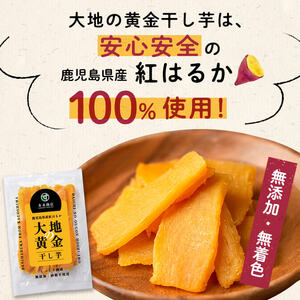 大地の黄金干し芋 計200g(100g×2袋)　干し芋 ほしいも 干しいも さつまいも さつま芋 紅はるか スイーツ スウィーツ おかし お菓子 おやつ 国産 九州産 鹿児島県産 小分け ランキング 人気 常温 常温保存 p5-048