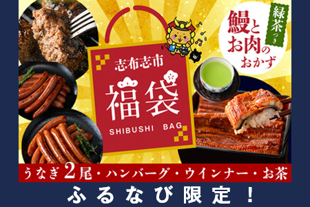 【ふるなび限定】志布志市福袋！！鰻とお肉のおかず(名水慈鰻2尾＆里山牛ハンバーグ4個＆黒豚MEGUMIウインナー2P＆お茶 総計約1kg) うなぎ 鰻 蒲焼き ハンバーグ ウインナー 黒豚 FN-Limited-PR b7-028