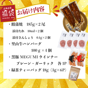 【ふるなび限定】志布志市福袋！！鰻とお肉のおかず(名水慈鰻2尾＆里山牛ハンバーグ4個＆黒豚MEGUMIウインナー2P＆お茶 総計約1kg) うなぎ 鰻 蒲焼き ハンバーグ ウインナー 黒豚 FN-Limited-PR b7-028