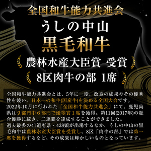 【数量限定】A4・5等級 鹿児島県産黒毛和牛うしの中山サーロインブロック1kg 黒毛和牛 和牛 ステーキ サーロイン ブロック 肉 牛肉 国産 九州産 鹿児島県産 赤身 焼肉 日本一 ランキング 人気 A4 A5 h5-001