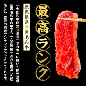 【小分け】<A5等級>鹿児島県産黒毛和牛 切り落とし(250g×10P・計2.5kg) 牛肉 肉 小分け 切落し 切り落とし 切り落し 国産 鹿児島県産 黒毛和牛 A5 全国和牛能力共進会 牛丼 c0-121