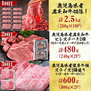 【定期便・全6回】<A5等級>鹿児島県産黒毛和牛&国産牛タンのお楽しみ牛肉定期便<計6.1kg超> 定期便 牛肉 肉 お楽しみ バラエティ 小分け 牛たん すき焼き しゃぶしゃぶ ステーキ 焼肉 セット 頒布会 t0135-001