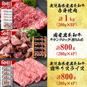 【定期便・全6回】<A5等級>鹿児島県産黒毛和牛&国産牛タンのお楽しみ牛肉定期便<計6.1kg超> 定期便 牛肉 肉 お楽しみ バラエティ 小分け 牛たん すき焼き しゃぶしゃぶ ステーキ 焼肉 セット 頒布会 t0135-001