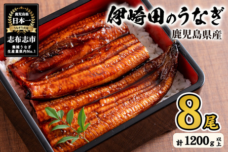 【数量限定】鹿児島県産 伊崎田のうなぎ蒲焼 中＜150g以上＞× 8尾(計1200g以上) 鰻 うなぎ ウナギ 蒲焼き 8尾 国産 九州産 鹿児島県産 冷凍 おつまみ 鰻重 うな丼 e1-001
