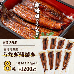 【数量限定】鹿児島県産 伊崎田のうなぎ蒲焼 中＜150g以上＞× 8尾(計1200g以上) 鰻 うなぎ ウナギ 蒲焼き 8尾 国産 九州産 鹿児島県産 冷凍 おつまみ 鰻重 うな丼 e1-001