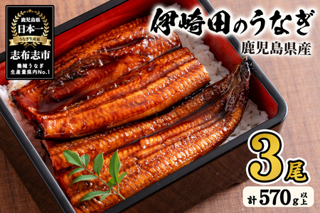 【数量限定】鹿児島県産 伊崎田のうなぎ蒲焼 特大＜190g以上＞× 3尾(計570g以上) 鰻 うなぎ ウナギ 蒲焼き 3尾 国産 九州産 鹿児島県産 冷凍 おつまみ 鰻重 うな丼 b6-021