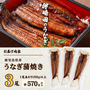 【数量限定】鹿児島県産 伊崎田のうなぎ蒲焼 特大＜190g以上＞× 3尾(計570g以上) 鰻 うなぎ ウナギ 蒲焼き 3尾 国産 九州産 鹿児島県産 冷凍 おつまみ 鰻重 うな丼 b6-021