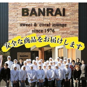 鹿児島県産 黒ごま塩 大学芋 おいも棒セット(計2.25kg)  a2-096