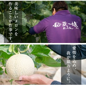 【春限定】極上メロン「秘蔵っ娘」白玉(青肉)1個 メロン マスクメロン 果物 くだもの デザート 青肉 a5-059-s