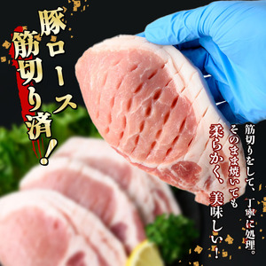 小分け・真空パック!九州産豚肉3種(計3.1kg) 小分け 真空パック 豚肉 豚 ロース バラ モモ ウデ バラエティ セット とんかつ とんてき 野菜炒め a5-319