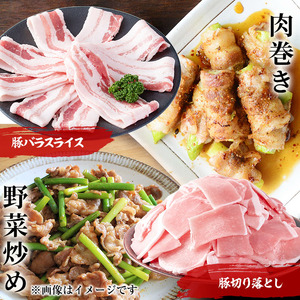 小分け・真空パック!九州産豚肉3種(計3.1kg) 小分け 真空パック 豚肉 豚 ロース バラ モモ ウデ バラエティ セット とんかつ とんてき 野菜炒め a5-319