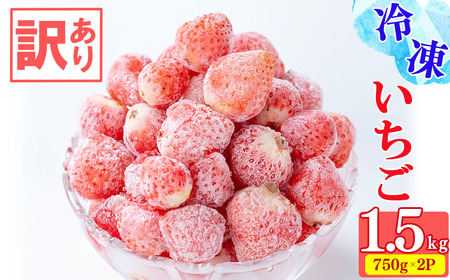 【訳あり・数量限定】品種は生産者にお任せ！鹿児島県産冷凍いちご(750g×2P 計1.5kg)&nbsp;いちご イチゴ 苺 ジャム スムージー 冷凍 小分け 紅ほっぺ さがほのか 真空 a0-326