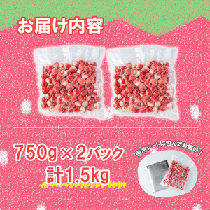 【訳あり・数量限定】品種は生産者にお任せ！鹿児島県産冷凍いちご(750g×2P 計1.5kg)&nbsp;いちご イチゴ 苺 ジャム スムージー 冷凍 小分け 紅ほっぺ さがほのか 真空 a0-326
