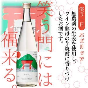 ＜入金確認後、2週間以内に発送！＞若潮酒造 本格焼酎・スピリッツ＜一日シリーズ＞飲み比べセット 720ml×4本！ 歩く一日 跳ねる一日 躍る一日 笑う一日 芋焼酎 鹿児島 むぎ焼酎 いも焼酎 ハイボールにもぴったり樽熟成焼酎 本格焼酎 b4-011-2w