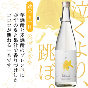 ＜入金確認後、2週間以内に発送！＞若潮酒造 本格焼酎・スピリッツ＜一日シリーズ＞飲み比べセット 720ml×4本！ 歩く一日 跳ねる一日 躍る一日 笑う一日 芋焼酎 鹿児島 むぎ焼酎 いも焼酎 ハイボールにもぴったり樽熟成焼酎 本格焼酎 b4-011-2w