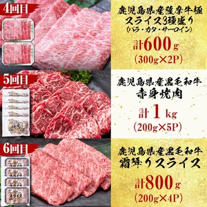 【定期便・全12回】＜A5等級＞鹿児島県産黒毛和牛＆国産牛タン プレミアム！牛肉満喫コース＜計12kg超＞ 定期便 牛肉 肉 1年 12回 12ヶ月 お楽しみ バラエティ 小分け 牛たん すき焼き しゃぶしゃぶ ステーキ 焼肉 セット 頒布会 t026-001