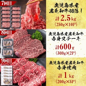 【定期便・全12回】＜A5等級＞鹿児島県産黒毛和牛＆国産牛タン プレミアム！牛肉満喫コース＜計12kg超＞ 定期便 牛肉 肉 1年 12回 12ヶ月 お楽しみ バラエティ 小分け 牛たん すき焼き しゃぶしゃぶ ステーキ 焼肉 セット 頒布会 t026-001