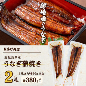【ギフト対応】【数量限定】鹿児島県産 伊崎田のうなぎ蒲焼 特大＜190g以上＞× 2尾(計380g以上) 鰻 うなぎ ウナギ 蒲焼き 2尾 国産 九州産 鹿児島県産 冷凍 おつまみ 鰻重 うな丼 ギフト 贈答用 プレゼント 化粧箱 b2-037