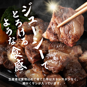 【数量限定】国産和牛コロコロ不揃い焼肉(計500g) 黒毛和牛 ステーキ サイコロステーキ 牛肉 牛 訳あり ステーキ丼 BBQ バーベキュー 冷凍 焼くだけ カット済 a1-135