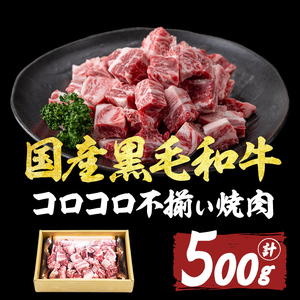 【数量限定】国産和牛コロコロ不揃い焼肉(計500g) 黒毛和牛 ステーキ サイコロステーキ 牛肉 牛 訳あり ステーキ丼 BBQ バーベキュー 冷凍 焼くだけ カット済 a1-135