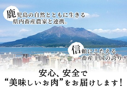 【数量限定】鹿児島黒牛リブローススライスセット 計1,050g(350g×3P) 国産 鹿児島 牛 肉 ブランド牛 黒牛 霜降り リブロース 冷凍 精肉 ロース スライス 小分け すき焼き すきやき しゃぶしゃぶ 鍋 b2-044