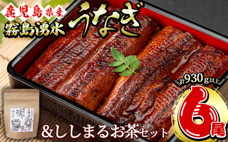 霧島湧水鰻6尾＆ししまるお茶セット 霧島湧水鰻(156g以上×6尾)＆緑茶ティーバッグ(3g×6個) 鹿児島県産 うなぎ ウナギ たれ タレ さんしょう 山椒 セット 緑茶 お茶 うな重 c8-031