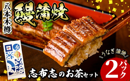 八本木樽鰻2尾＆お茶セット うなぎ蒲焼(156g以上×2尾)＆煎茶さがの(100g) 鰻 タレ たれ さんしょう 山椒付 お茶 緑茶 鹿児島県産 国産 セット 冷凍 おかず おつまみ お祝い 惣菜 a5-330