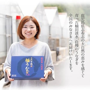 【定期便全3回】お手軽に楽しめるうなぎ定期便！（計1.04kg以上）鰻 白焼き うなぎ ウナギ 蒲焼き 国産 九州産 鹿児島 冷凍 有頭 おつまみ 惣菜 おかず きざみ うな重 うな丼 定期便 頒布会 セット 食べ比べ t0046-004