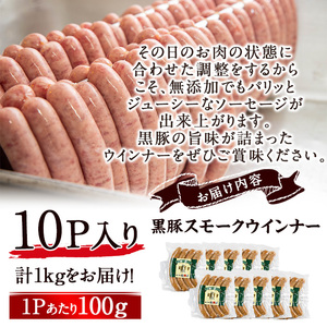 【無添加】【ギフト対応】「福別府農場」鹿児島黒豚無添加スモークウインナー 計1kg(100g×10P) ウインナー ソーセージ 添加物不使用 無添加 黒豚 国産 豚肉 贈り物 プレゼント 冷凍 おつまみ おかず お弁当 b6-024