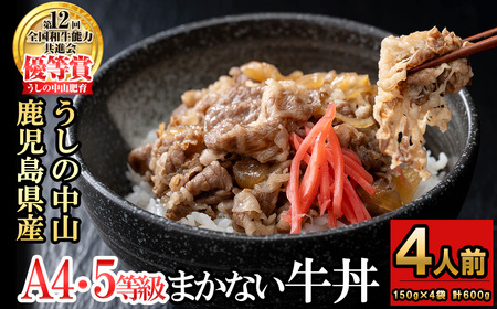 CHUZANのまかない牛丼4人前 計600g(150g×4袋) 牛肉 牛 丼ぶり 肉 簡単調理 黒毛和牛 おかず 冷凍 煮込み鹿児島県産 鹿児島産 a1-134