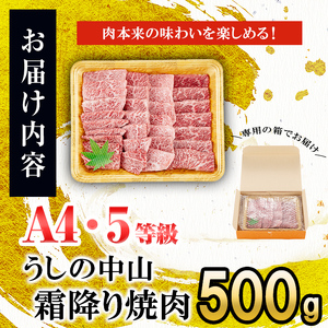 ＜A4・A5等級＞鹿児島県産黒毛和牛 うしの中山 霜降り焼肉用 500g 黒毛和牛 和牛 肉 牛肉 国産 九州産 鹿児島県産 焼肉 霜降り 日本一 b4-014