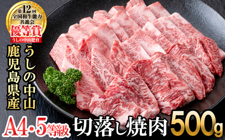 ＜A4・A5等級＞鹿児島県産黒毛和牛 うしの中山 切り落とし焼肉用 500g 黒毛和牛 和牛 肉 牛肉 国産 九州産 鹿児島県産 焼肉 日本一 a9-044 10,800円