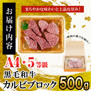 カルビブロック500g×1P 黒毛和牛 和牛 肉 牛肉 国産 九州産 鹿児島県産 焼肉 カルビ 日本一 b0-203