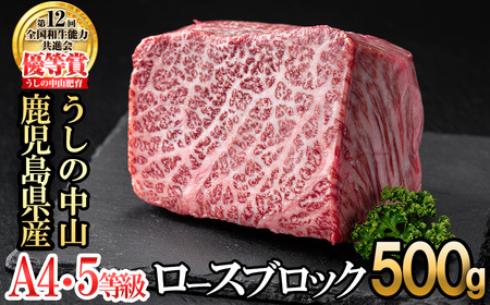 ロースブロック 500g×1P 黒毛和牛 和牛 肉 牛肉 国産 九州産 鹿児島県産 ロース 焼肉 ローストビーフ たたき 煮込み 日本一 冷凍 ブロック肉 BBQ バーベキュー ステーキ c0-126