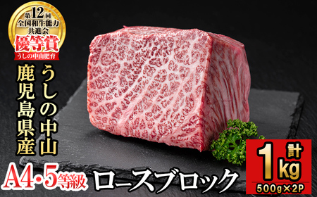 ロースブロック 計1kg(500g×2P) 黒毛和牛 和牛 肉 牛肉 国産 九州産 鹿児島県産 ロース 焼肉 ローストビーフ たたき 煮込み 日本一 冷凍 ブロック肉 BBQ バーベキュー ステーキ e5-002