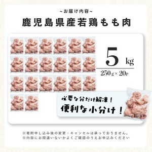 小分けで便利！鹿児島県産若鶏もも肉切身 計5kg(250g×20P) 鶏肉 とり肉 鳥肉 鶏もも肉 とりもも もも肉 もも モモ 若鶏 小分け 真空 真空パック 保存 カット カット済 唐揚げ 煮物 鍋 おかず お弁当などに a9-048