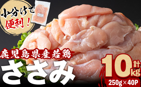 小分けで便利！鹿児島県産若鶏ささみ 計10kg(250g×40P) 鶏肉 とり肉 鳥肉 ささみ 鳥ささみ ヘルシー ダイエット 低カロリー 若鶏 小分け 真空 真空パック 保存 カット カット済 b7-026