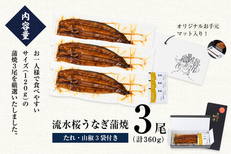 柳澤 流水桜 うなぎ 蒲焼き 計3尾＜計360g＞ a4-096