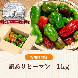 志布志産訳ありピーマン(1kg) ピーマン 訳あり 野菜 やさい ぴーまん 新鮮 常温 常温保存 おかず 詰め合わせ 銀賞 銀賞受賞 野菜ソムリエサミット p5-050