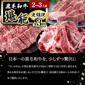 【定期便全3回】＜A4・A5等級＞黒毛和牛堪能〈お試し〉定期便（2～3人分）総重量900g 鹿児島県産 黒毛和牛 和牛 肉 牛肉 国産 九州産 鹿児島県産 焼肉 焼き肉 BBQ ランキング 人気 A4 A5 赤身 切り落とし カルビ お楽しみ 食べ比べ 2人前 3人前 t0035-002