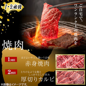 【定期便全3回】＜A4・A5等級＞黒毛和牛堪能〈お試し〉定期便（2～3人分）総重量900g 鹿児島県産 黒毛和牛 和牛 肉 牛肉 国産 九州産 鹿児島県産 焼肉 焼き肉 BBQ ランキング 人気 A4 A5 赤身 切り落とし カルビ お楽しみ 食べ比べ 2人前 3人前 t0035-002